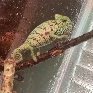 Meet your Posher, Ashlyn